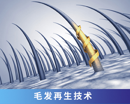 毛發(fā)再生技術(shù)